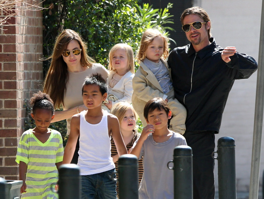 The Jolie Pitt Family